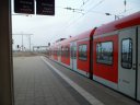 SAM_2618