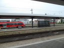 SAM_4462
