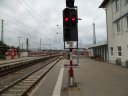 SAM_4772