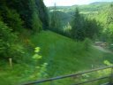 SAM_4878