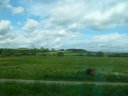 SAM_4897