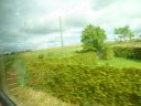 SAM_4939