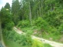 SAM_4946