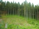 SAM_4979