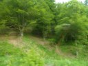 SAM_4982