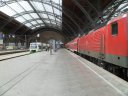 SAM_3936