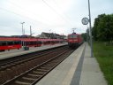 SAM_4029