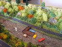 dsc04058_20160809_1673817028