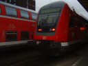 DSCF0252
