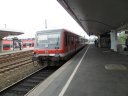 SAM_1491